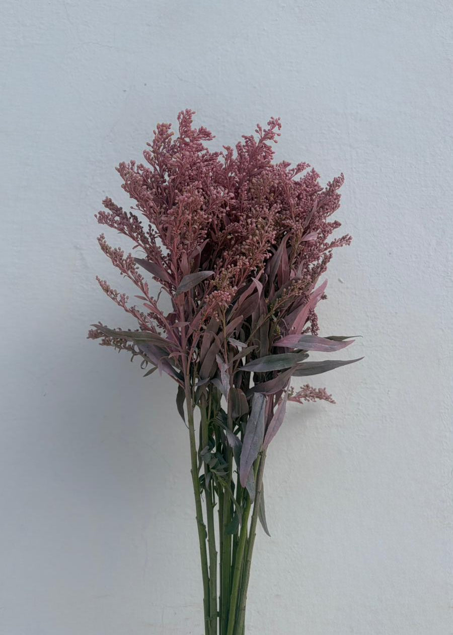 Solidago Teñido